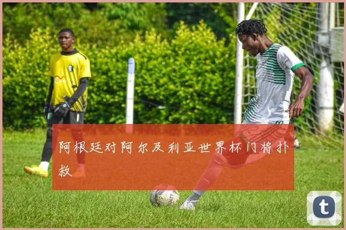 阿根廷对阿尔及利亚世界杯门将扑救