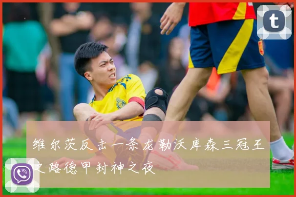维尔茨反击一条龙勒沃库森三冠王之路德甲封神之夜