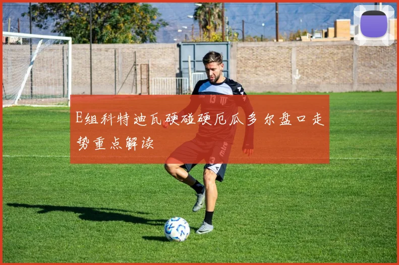 E组科特迪瓦硬碰硬厄瓜多尔盘口走势重点解读