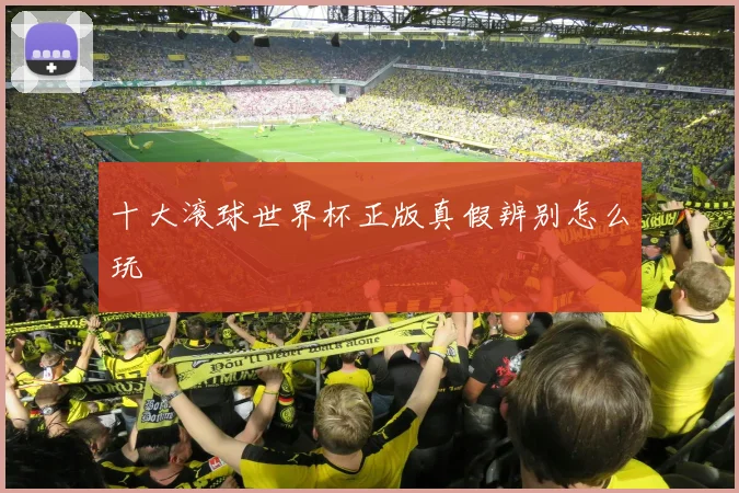 十大滚球世界杯正版真假辨别怎么玩