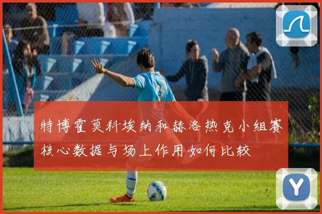 特博霍莫科埃纳和赫洛热克小组赛核心数据与场上作用如何比较