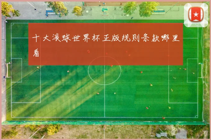 十大滚球世界杯正版规则条款哪里看