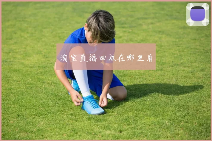 淘宝直播回放在哪里看
