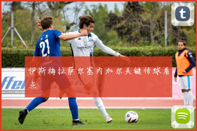 伊斯梅拉萨尔塞内加尔关键传球看点