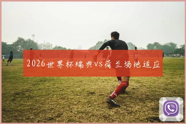 2026世界杯瑞典vs荷兰场地适应