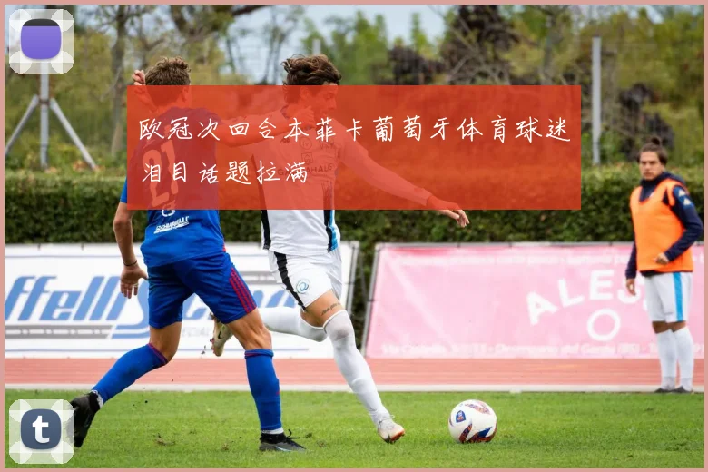 欧冠次回合本菲卡葡萄牙体育球迷泪目话题拉满