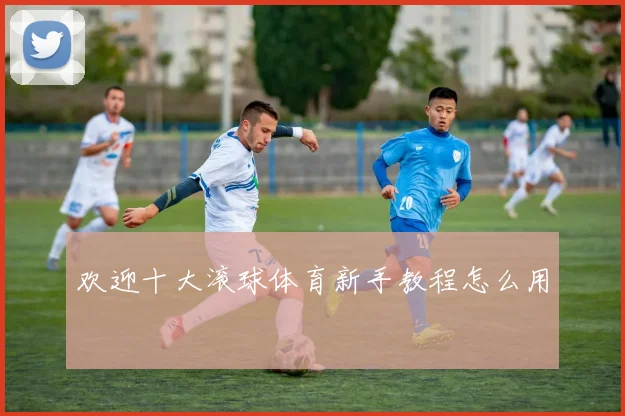 欢迎十大滚球体育新手教程怎么用